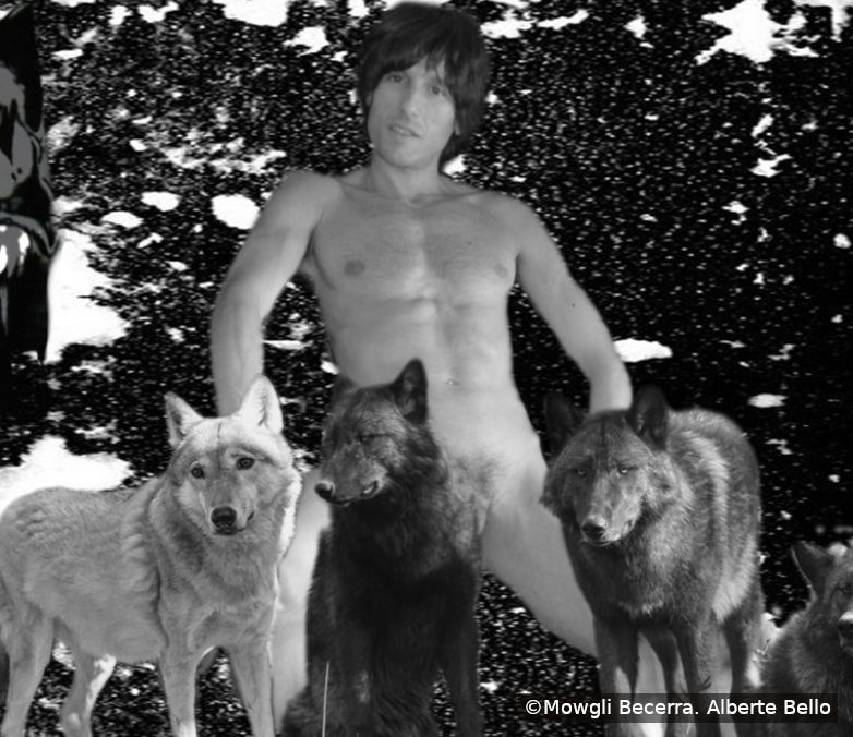 Afonso Becerra de Becerreá, autor