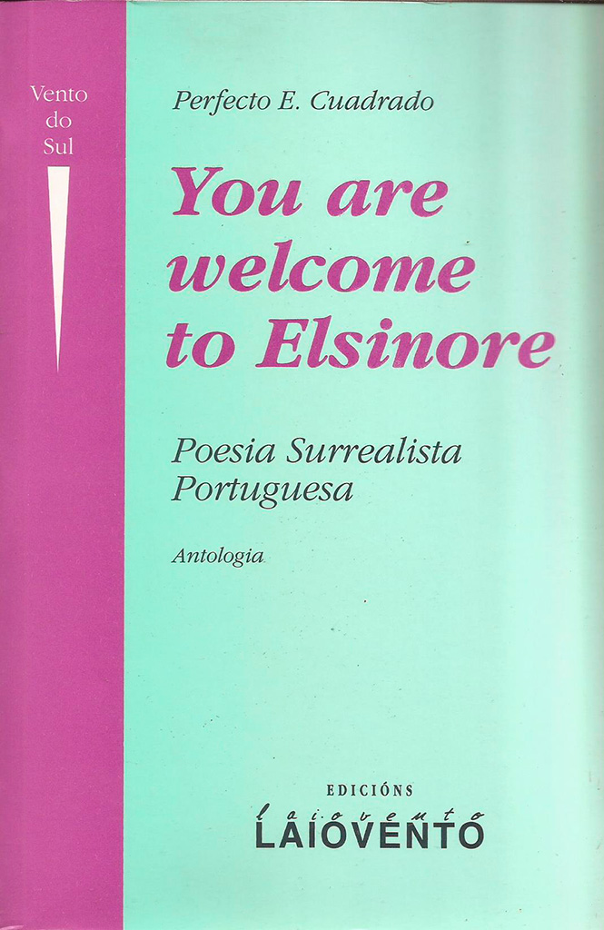 YOU ARE WELCOME TO ELSINORE - Capa do libro